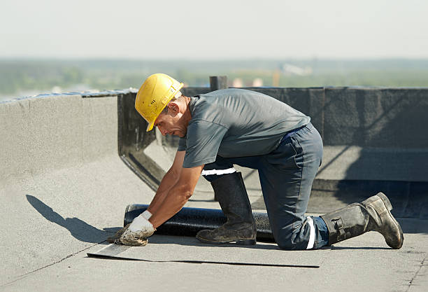 Best Cellulose Insulation in Oneida, NY