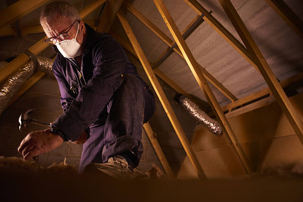 Best Commercial Insulation in Oneida, NY